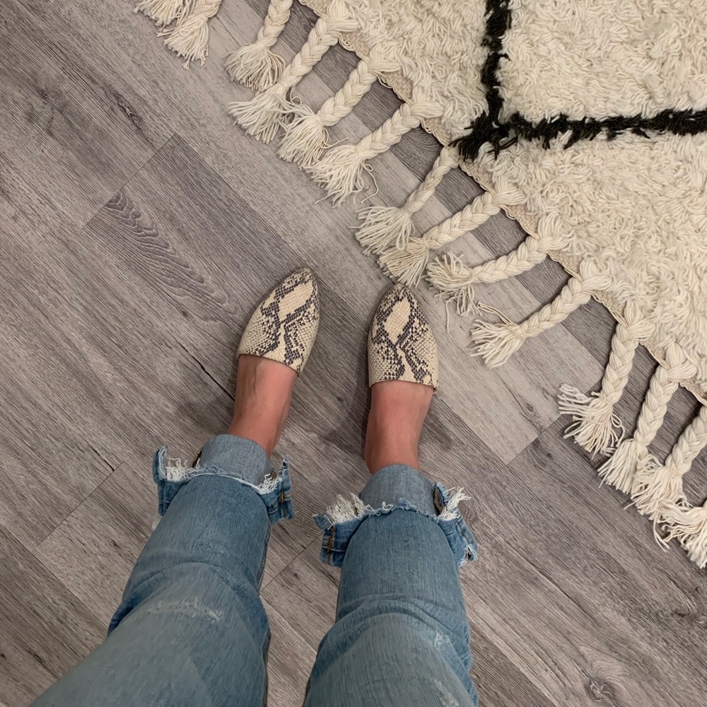 Steve Madden Trace Mule Snake Skin